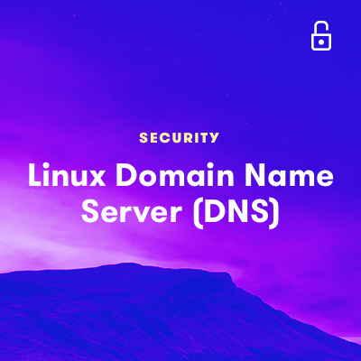 Linux Domain Name Server (DNS)